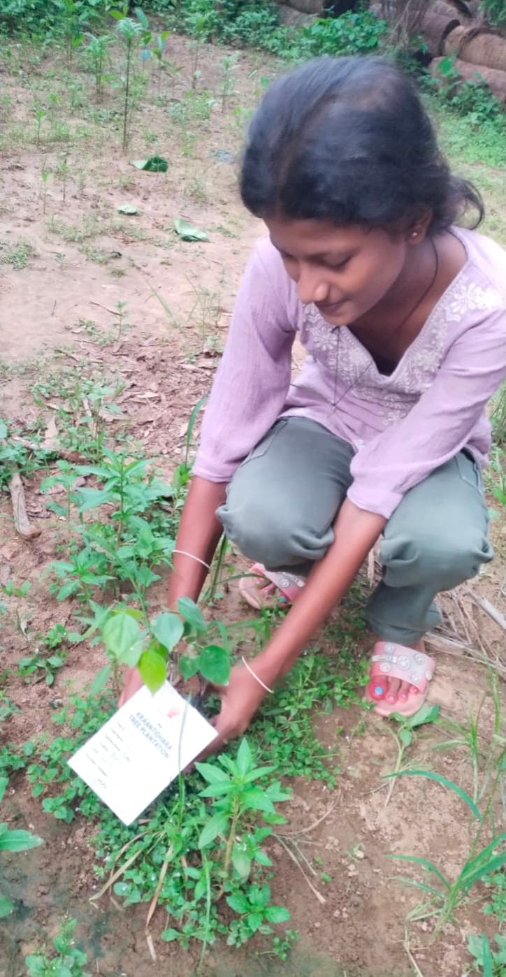 Field participant planting a sapling during the tree plantation programme